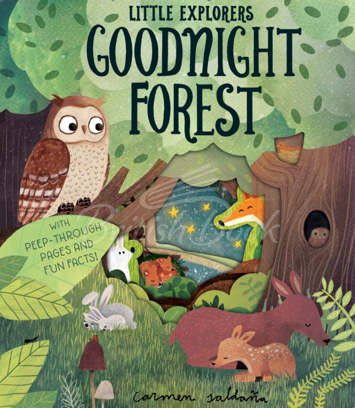 Книга Little Explorers: Goodnight Forest зображення