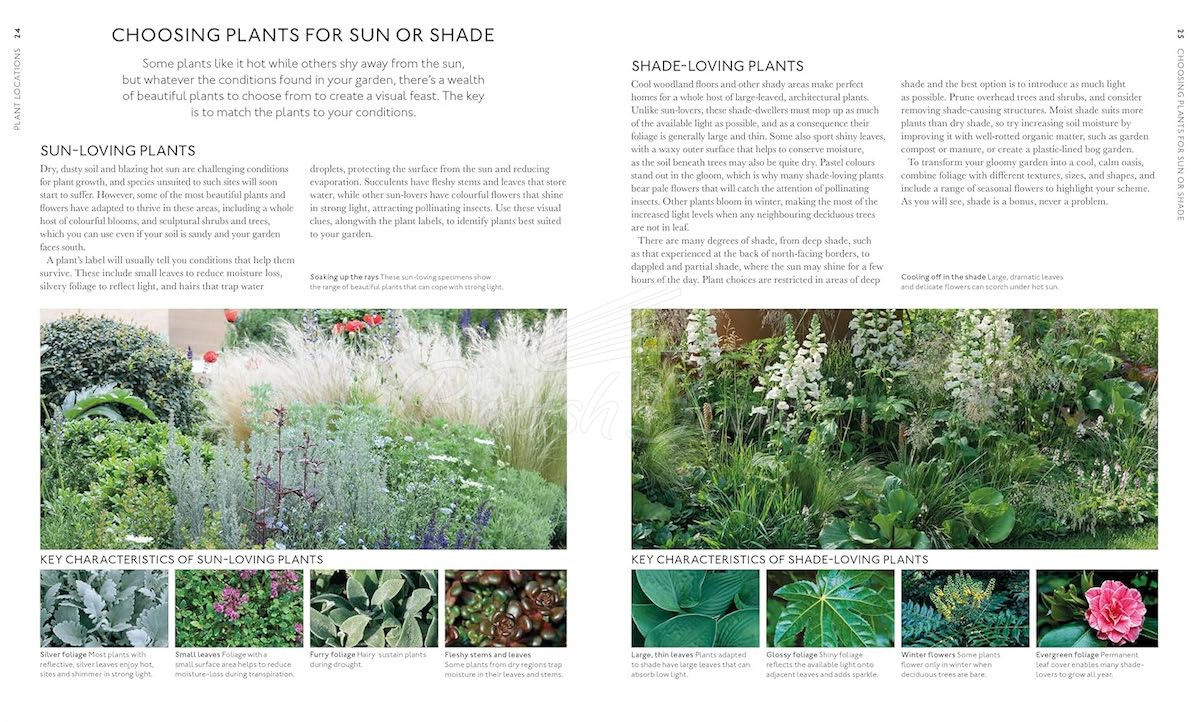 Книга RHS What Plant Where Encyclopedia изображение 3