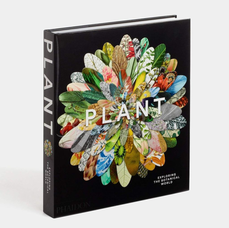 Книга Plant: Exploring the Botanical World зображення 1