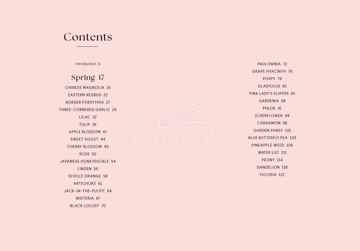 Книга Blossom: Practical and Creative Ways to Find Wonder in the Floral World зображення 1