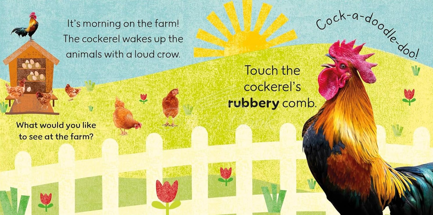 Книга Touch and Feel Farm изображение 1