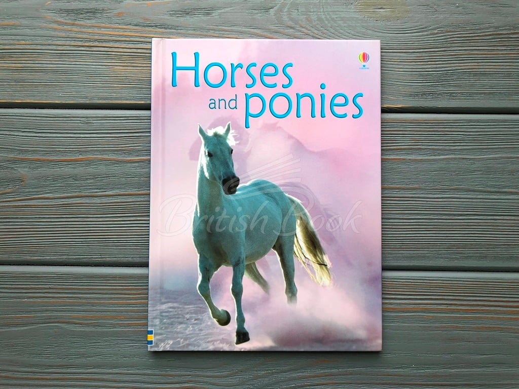 Книга Usborne Beginners Horses and Ponies зображення 1