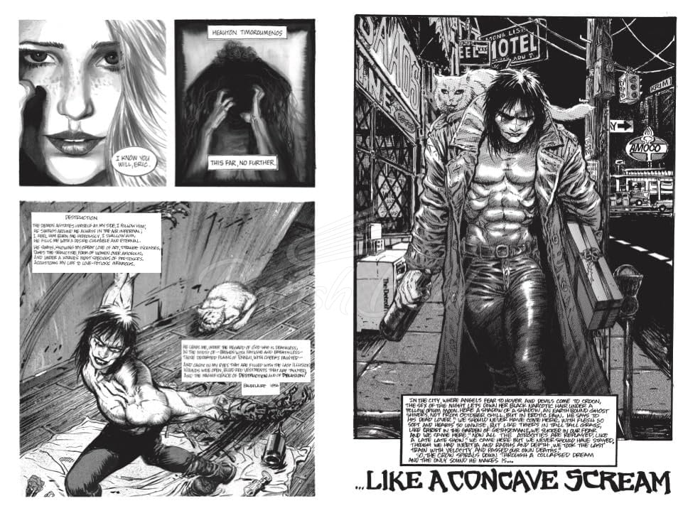 Книга The Crow (Special Edition) изображение 2