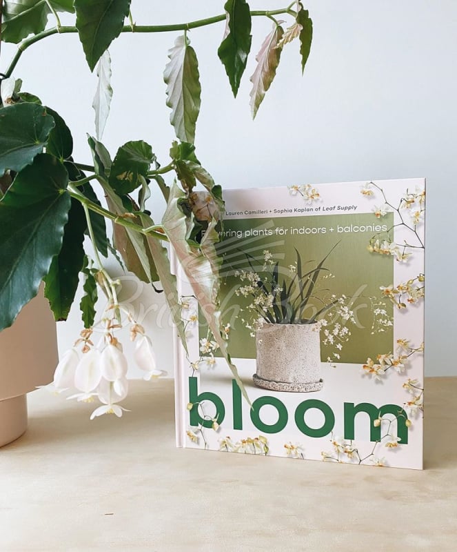 Книга Bloom: Flowering Plants for Indoors and Balconies зображення 9