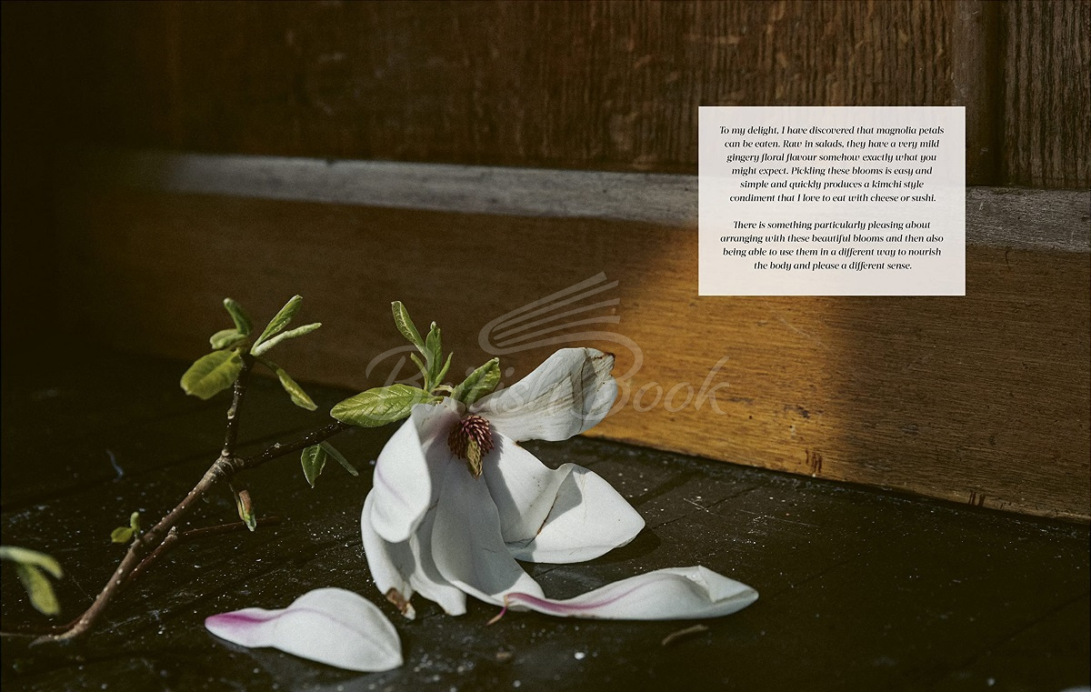 Книга Flower Philosophy зображення 1
