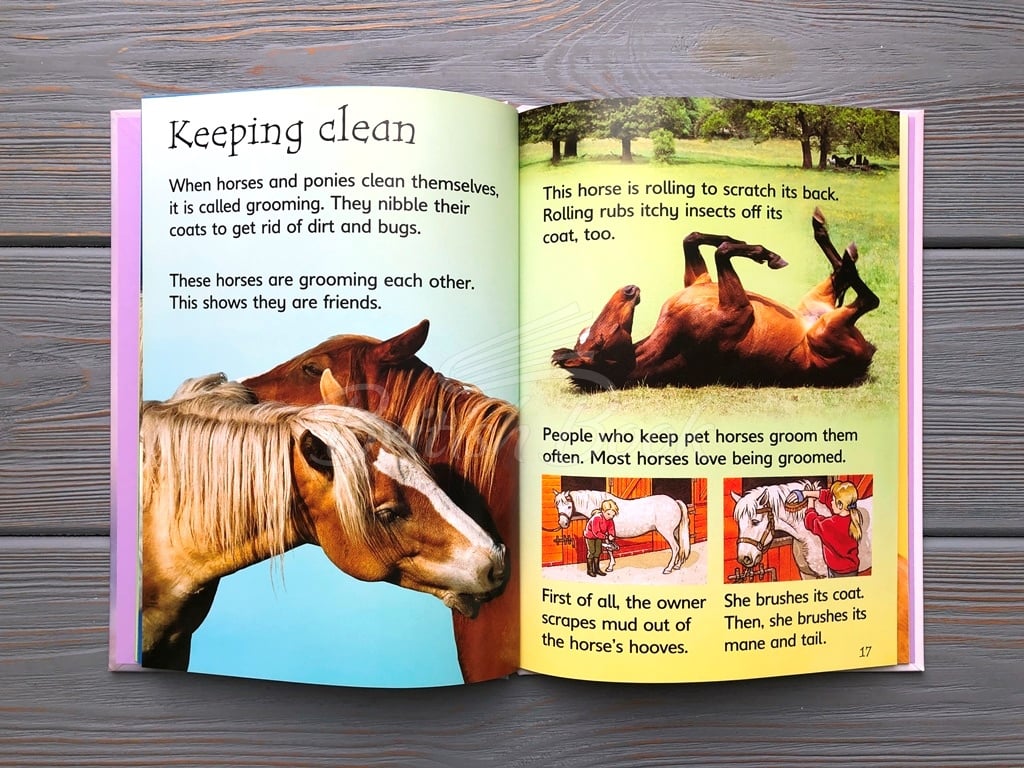 Книга Usborne Beginners Horses and Ponies изображение 3