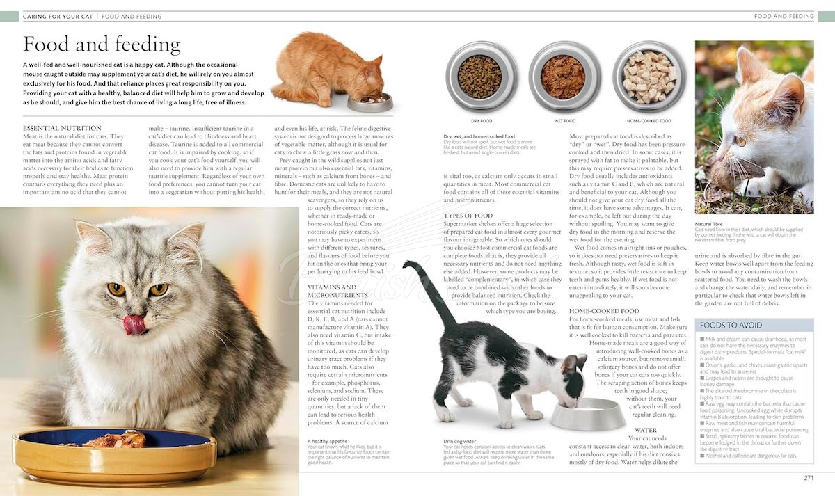 Книга The Cat Encyclopedia изображение 11
