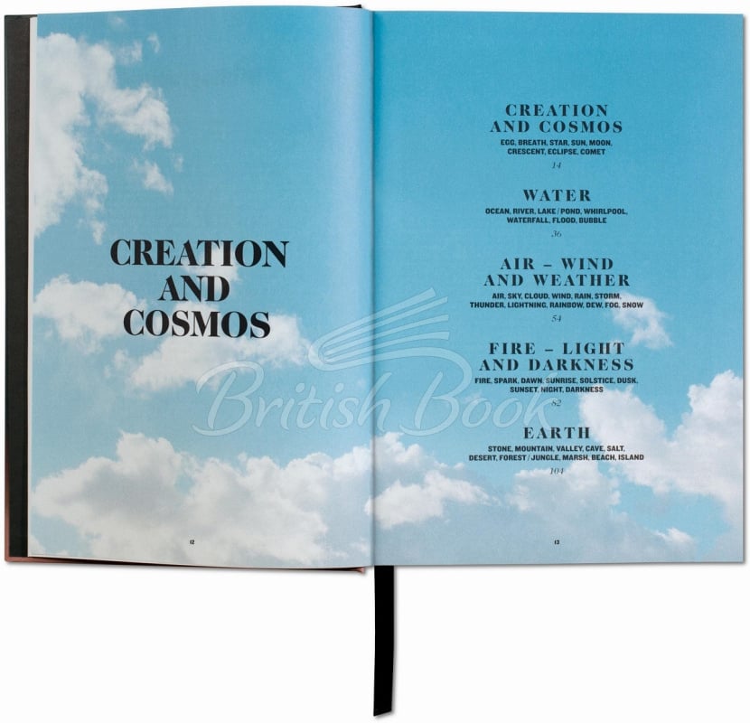 Книга The Book of Symbols: Reflections on Archetypal Images зображення 6