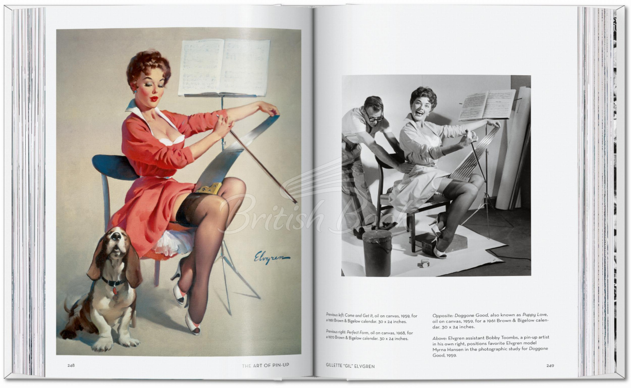 Книга The Art of Pin-up изображение 6