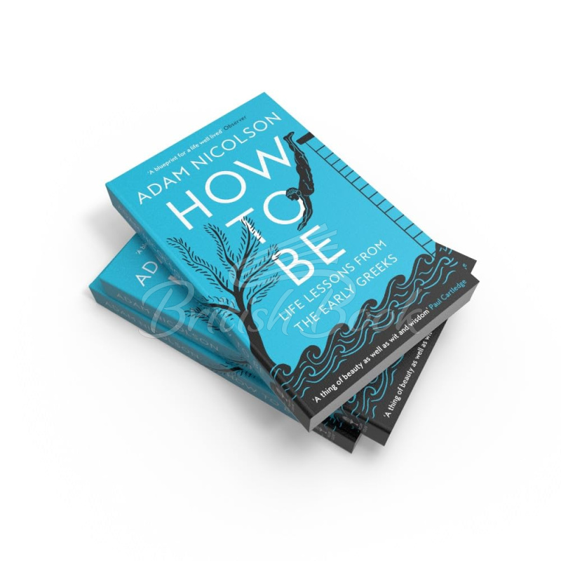 Книга How to Be: Life Lessons from the Early Greeks	 зображення 2