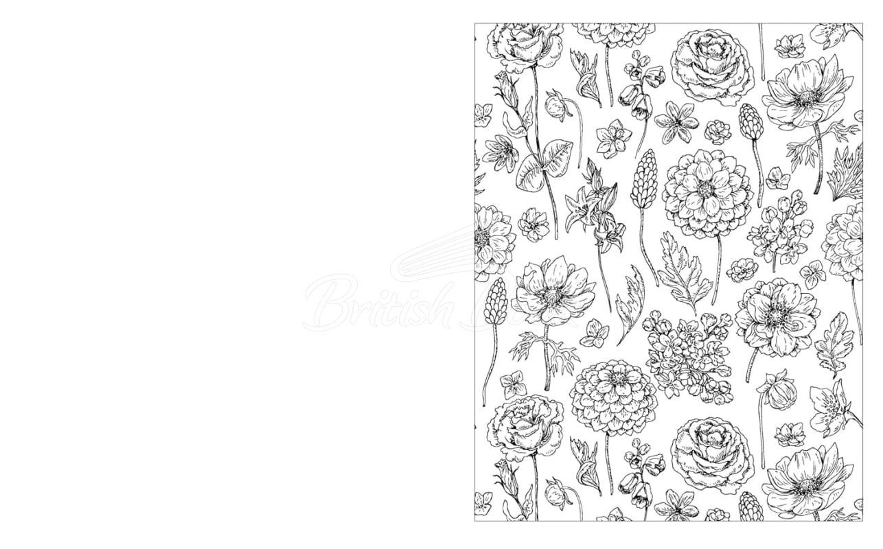 Книга The Enchanting Flowers Colouring Book изображение 2