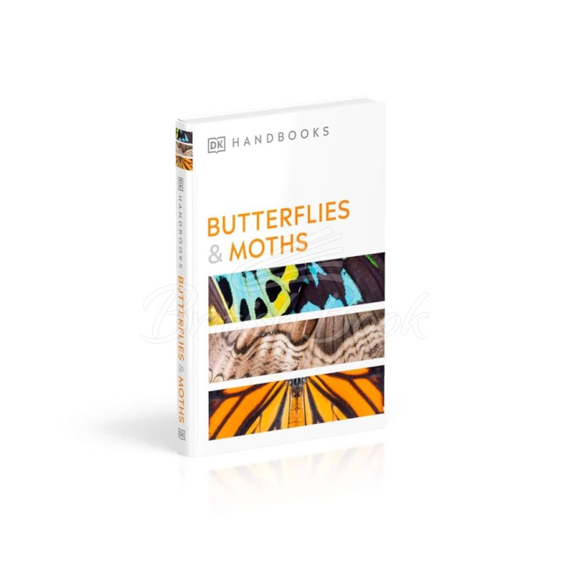 Книга Butterflies and Moths зображення 1