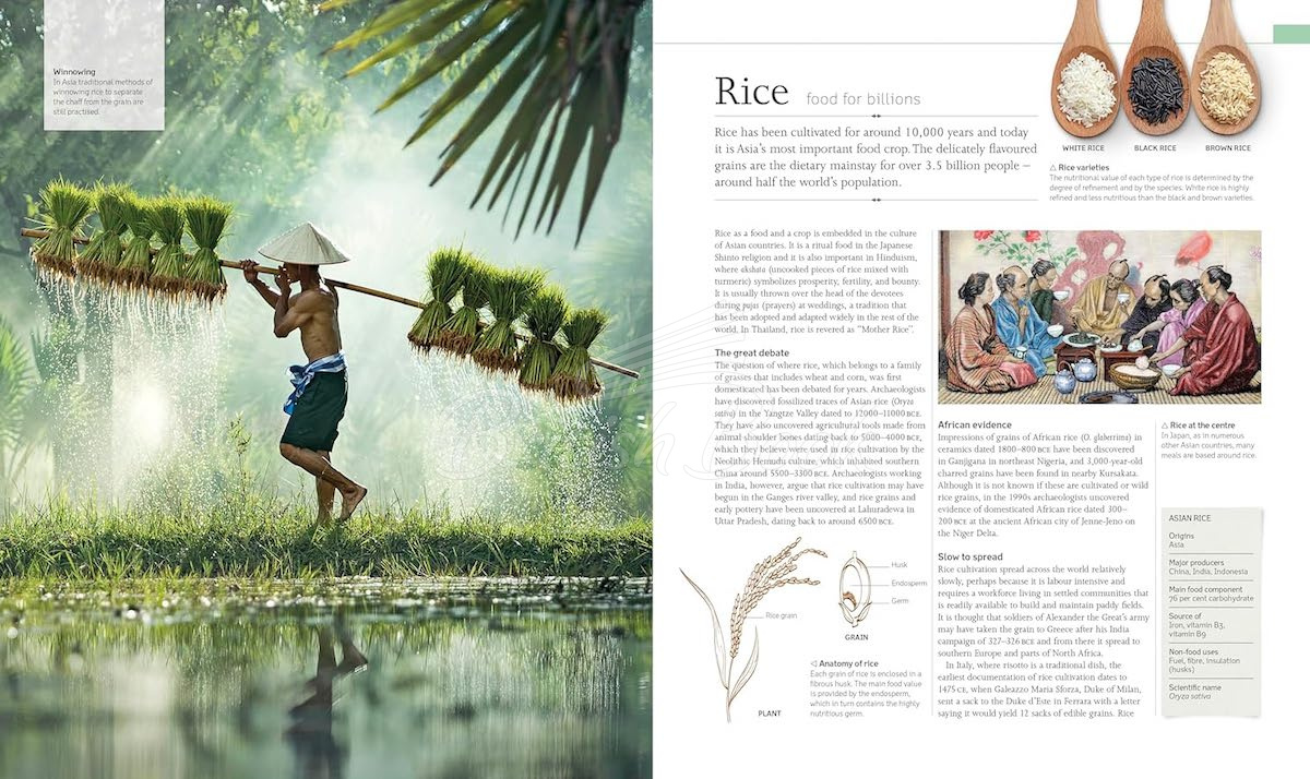 Книга The Food Book зображення 5