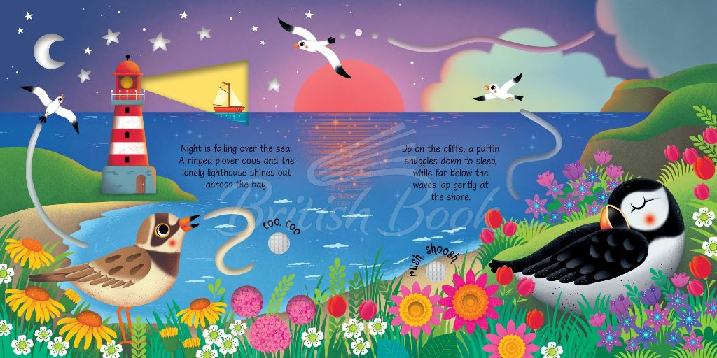 Книга Seashore Sounds изображение 3