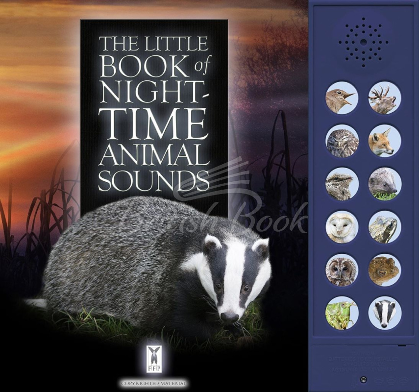 Книга The Little Book of Night-Time Animal изображение