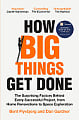 How Big Things Get Done	