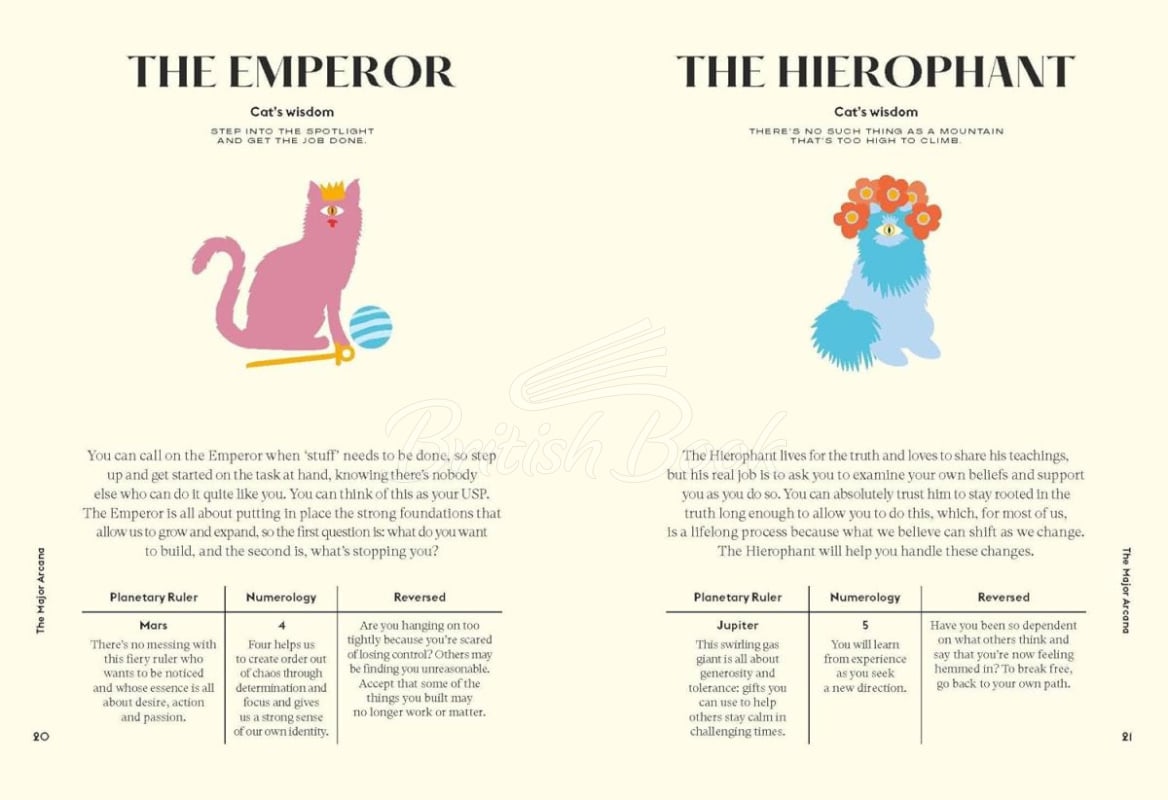 Карти таро Wise Cat Tarot зображення 5