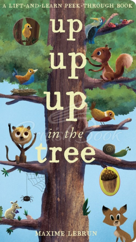 Книга A Lift-and-Learn Peek-through Book: Up Up Up in the Tree изображение
