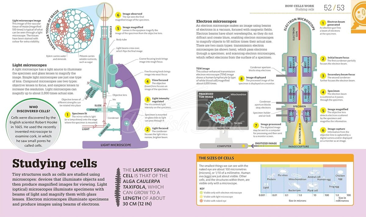 Книга How Biology Works зображення 4