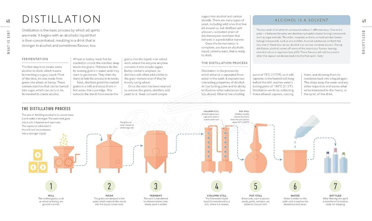 Книга Gin: A Tasting Course зображення 5