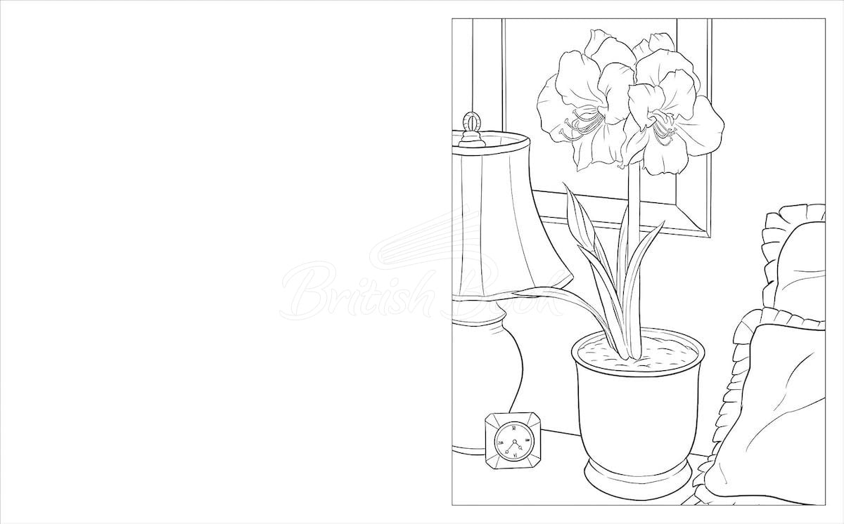 Книга The Houseplants Colouring Book зображення 2