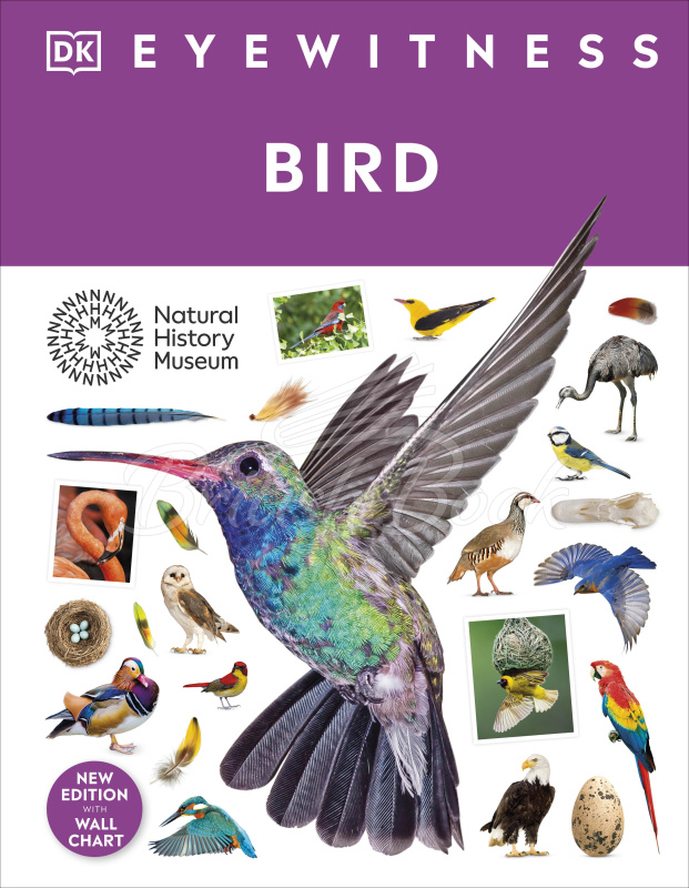 Книга Bird зображення