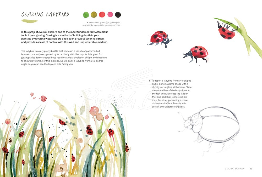 Книга Wild Watercolour изображение 4