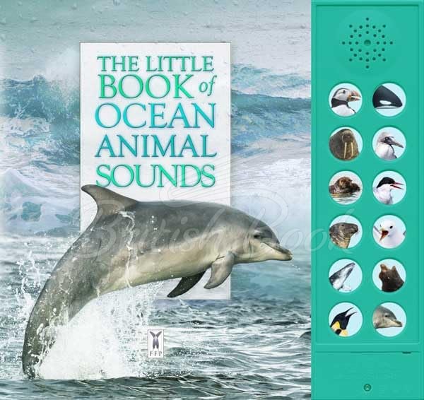 Книга The Little Book of Ocean Animal Sounds зображення