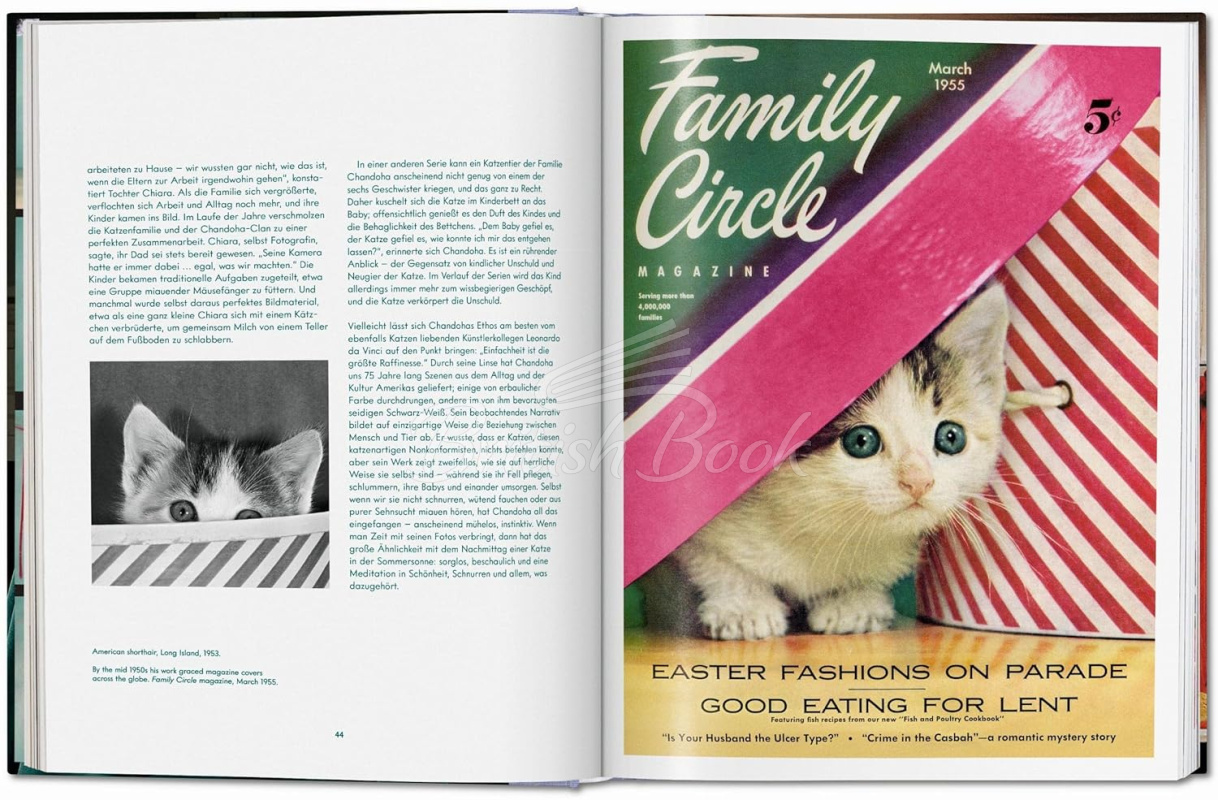 Книга Walter Chandoha. Cats. Photographs 1942–2018 зображення 6