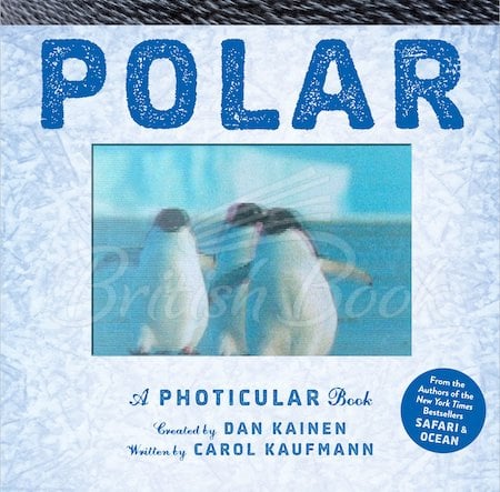 Книга Polar: A Photicular Book зображення