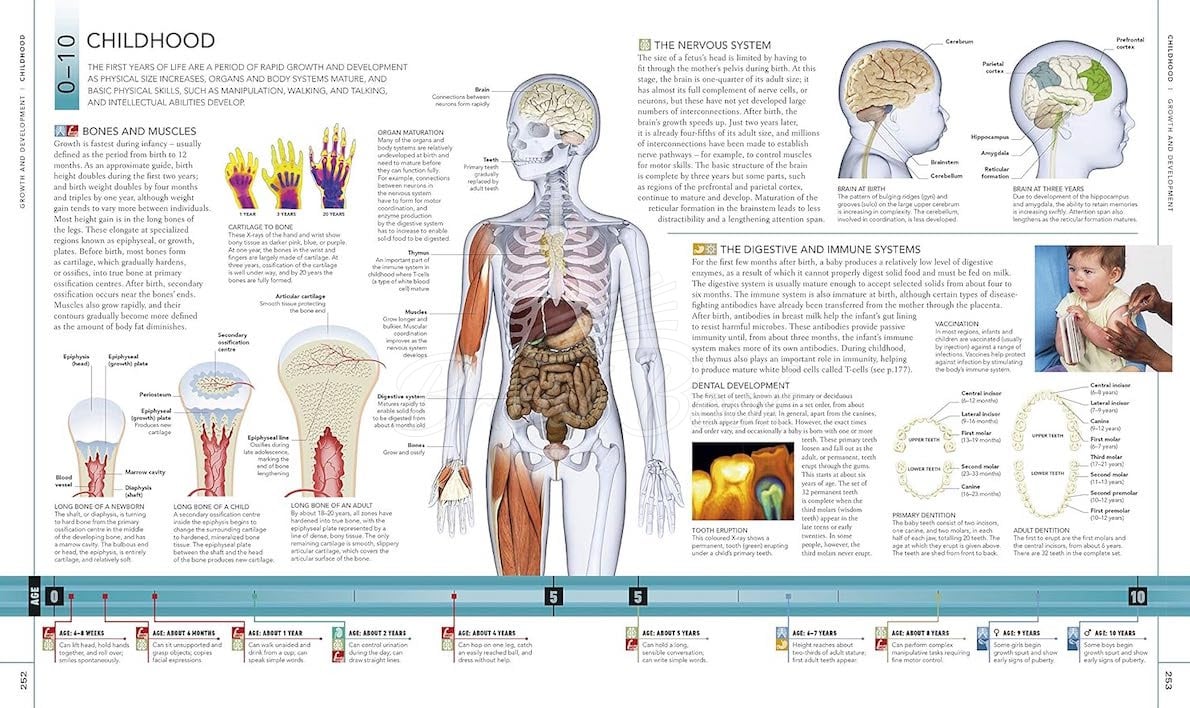 Книга The Human Body Book зображення 5