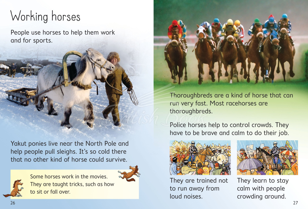 Книга Usborne Beginners Horses and Ponies изображение 3