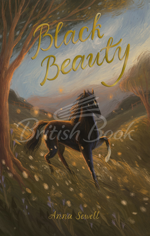 Книга Black Beauty зображення