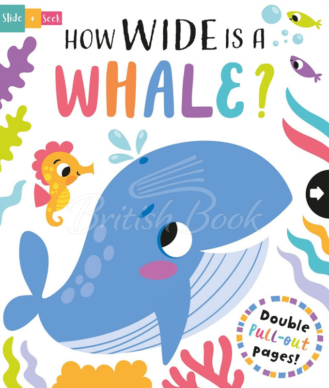 Книга Slide + Seek: How Wide is a Whale? изображение