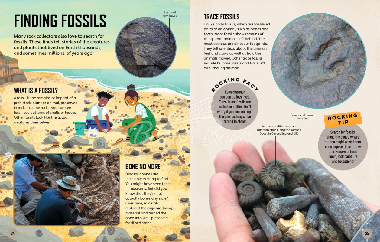 Книга Lonely Planet Kids: Let's Go Rock Collecting зображення 8