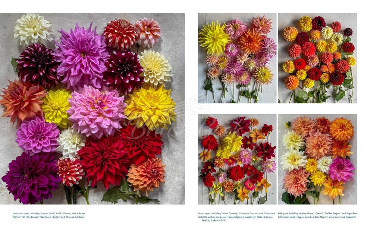 Книга Life with Flowers: Inspiration and Lessons from the Garden зображення 8