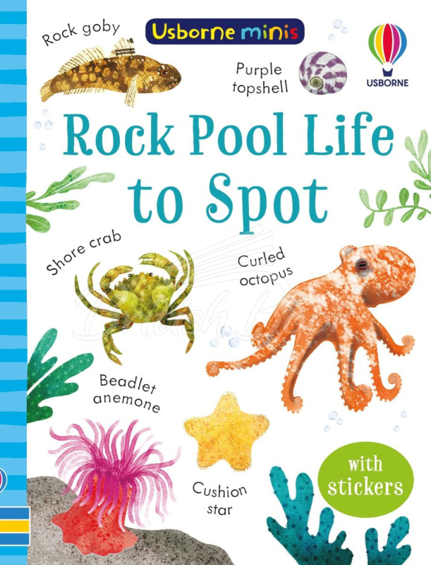 Книга Rock Pool Life to Spot изображение