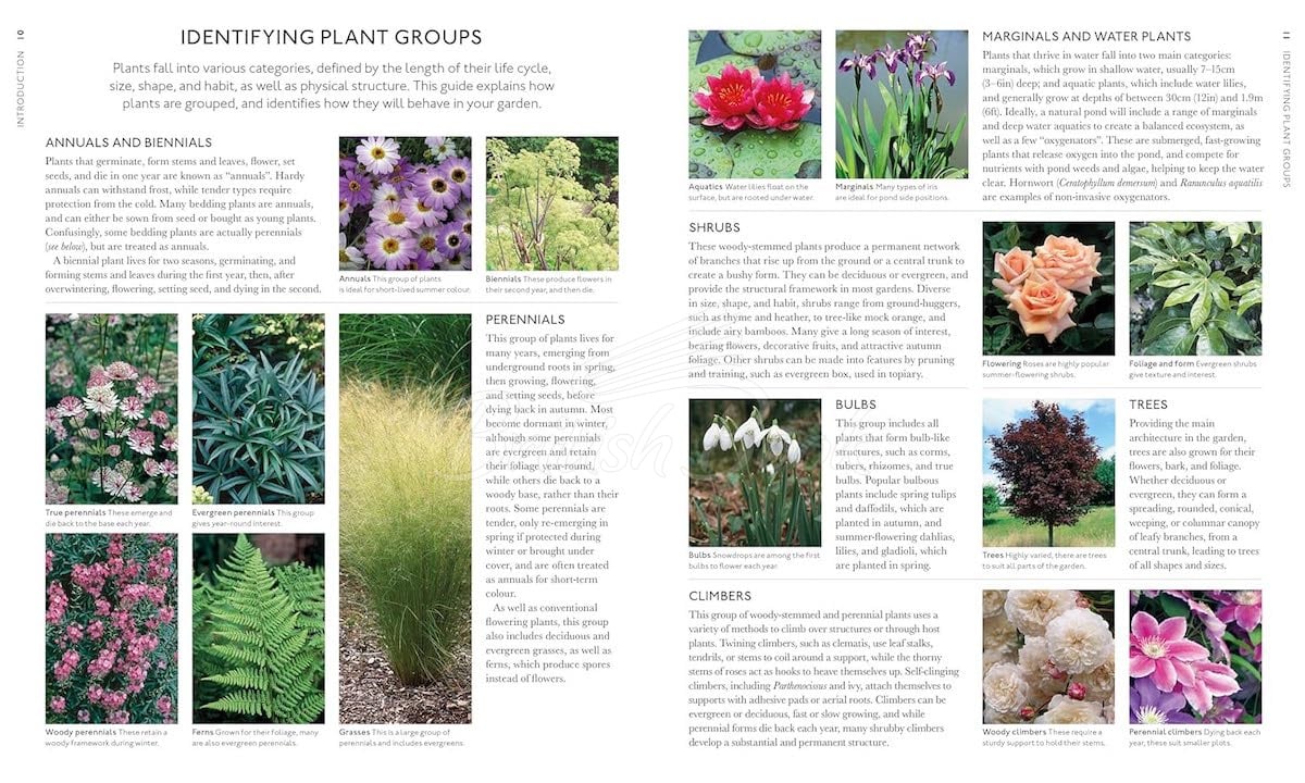 Книга RHS What Plant Where Encyclopedia изображение 2