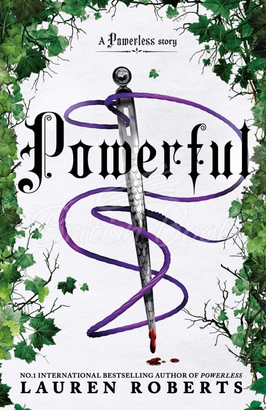 Книга Powerful (Deluxe Collector's Edition) зображення