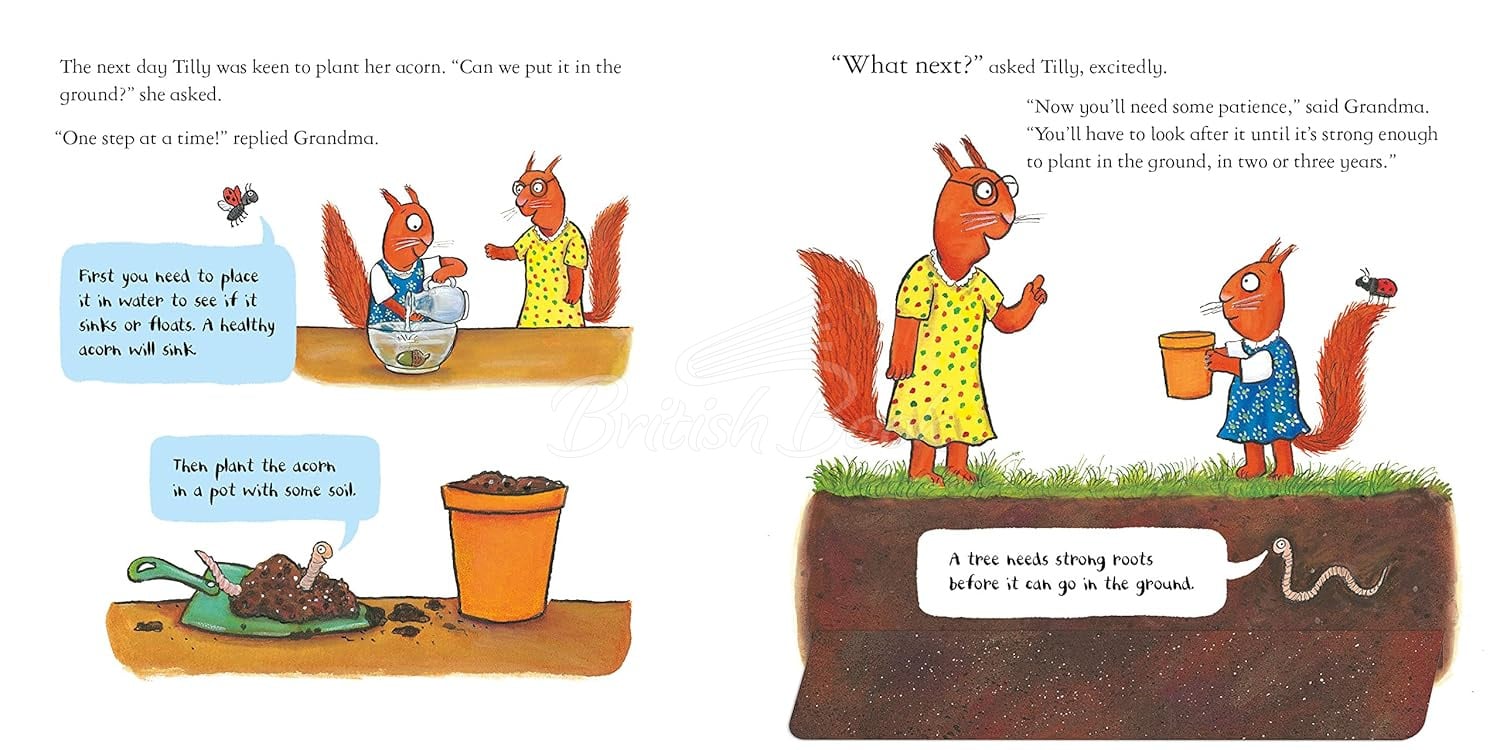 Книга National Trust: Tilly Plants a Tree зображення 5