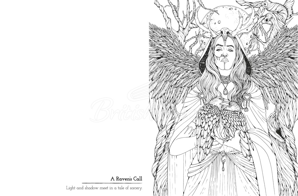 Книга Romantasy: A Star-Crossed Colouring Experience изображение 4