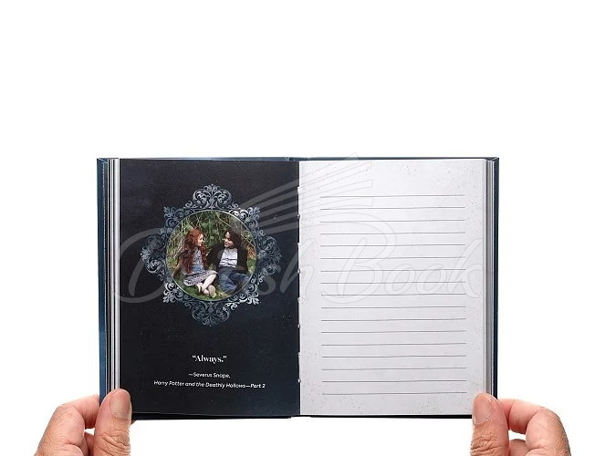Подарочный набор Harry Potter: Patronus Guided Journal and Inspiration Card Set изображение 4