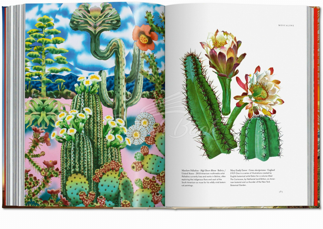 Книга Plant Magick. The Library of Esoterica зображення 10