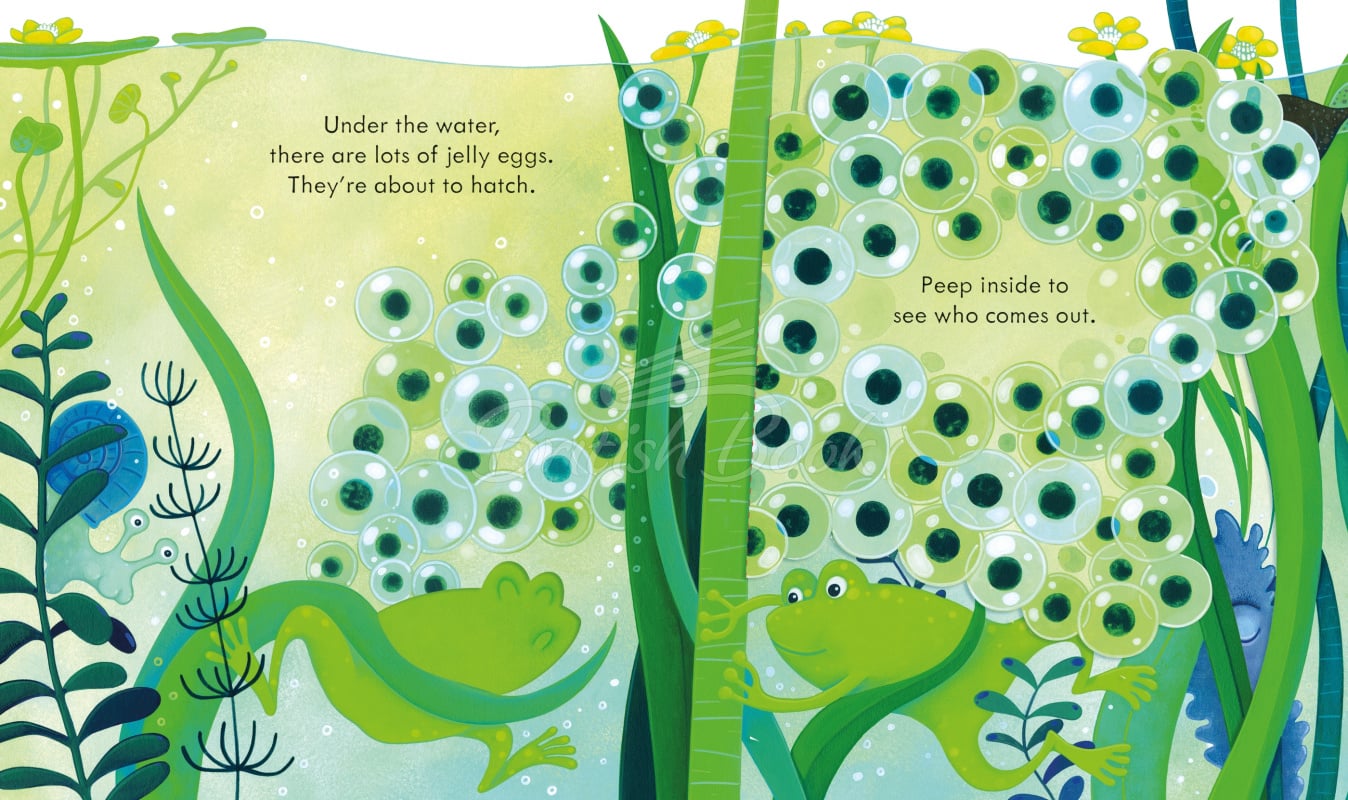 Книга Peep inside the Pond зображення 2