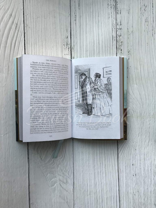 Книга The Warden зображення 5