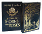 A Court of Thorns and Roses (Book 1) (Collector's Edition)