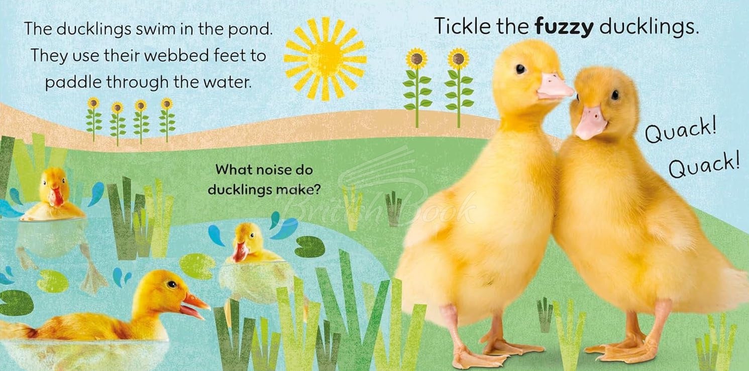 Книга Touch and Feel Farm изображение 2
