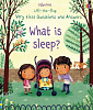 Lift-the-Flap Very First Questions and Answers: What is Sleep?