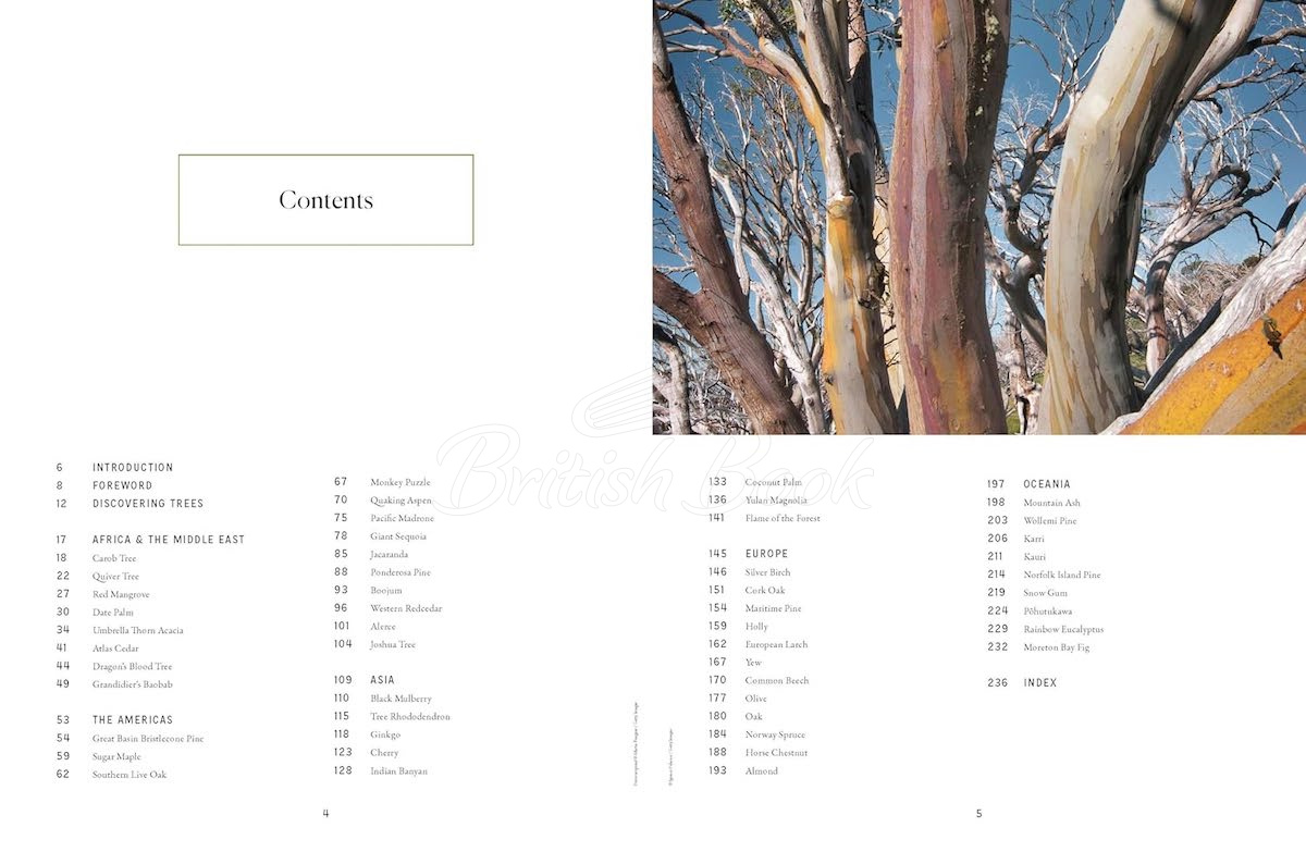 Книга The Tree Atlas зображення 1