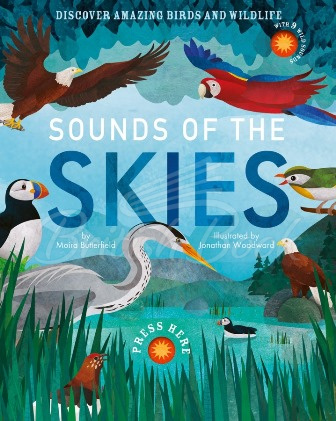 Книга Sounds of the Skies зображення